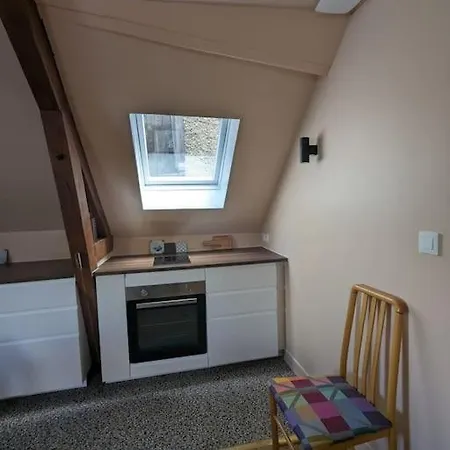 公寓 L'atelier Niche Sous Les Toits